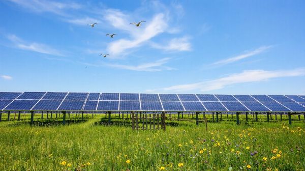 Top critères pour sélectionner des panneaux photovoltaïques efficaces